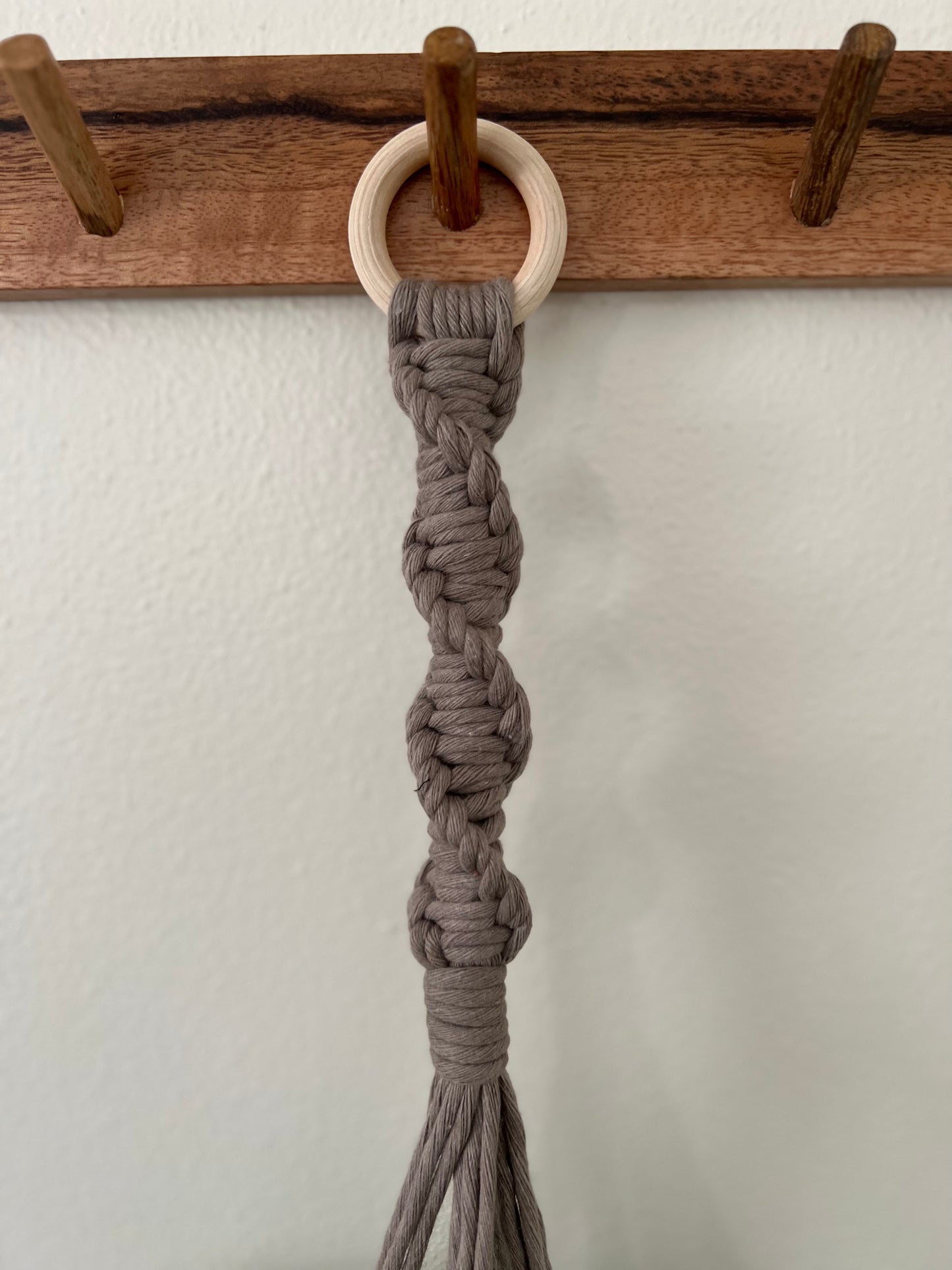 Spiral Plant Hanger