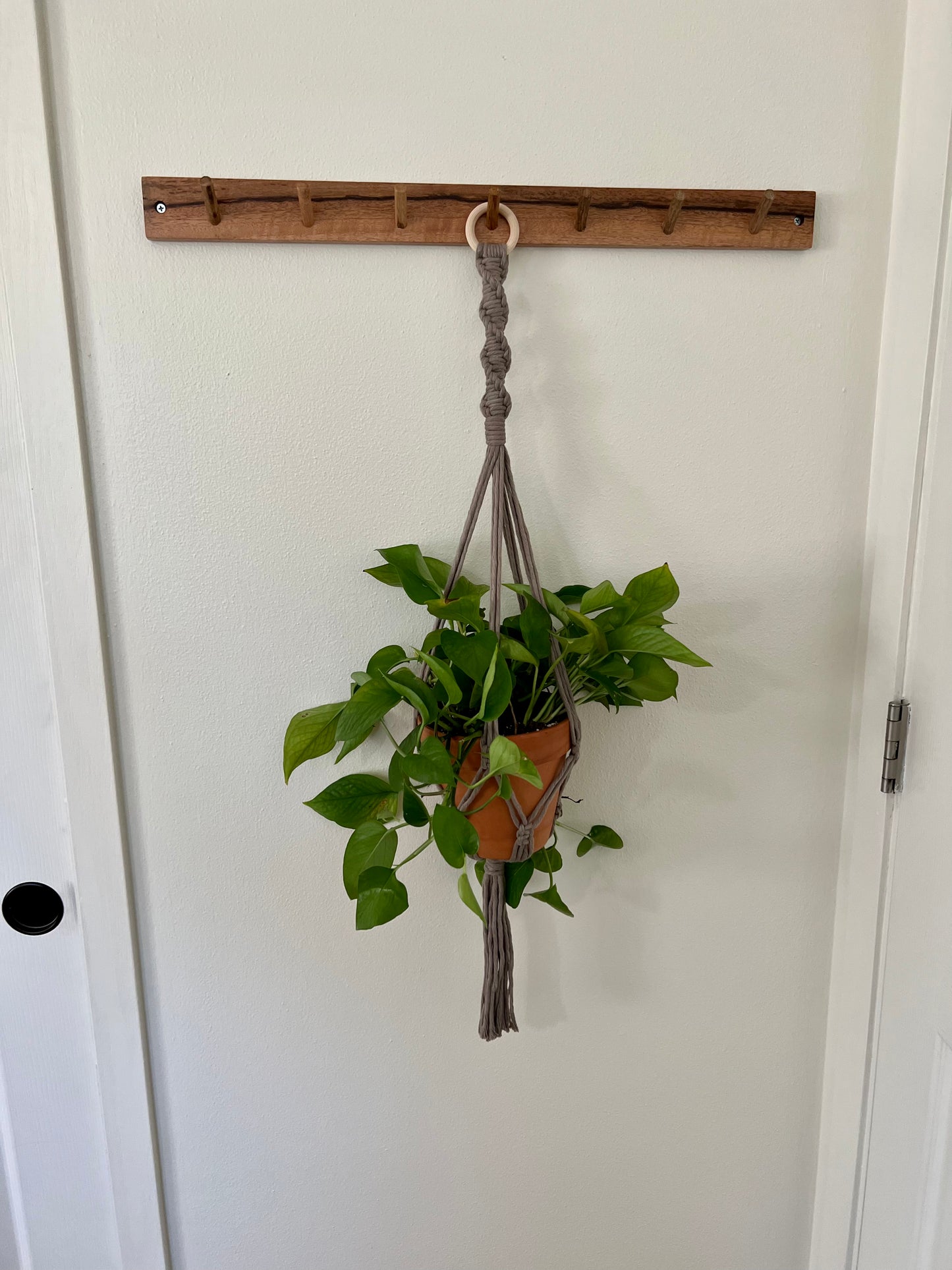 Spiral Plant Hanger