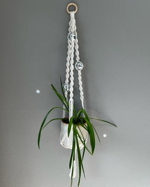 Disco Ball Plant Hanger