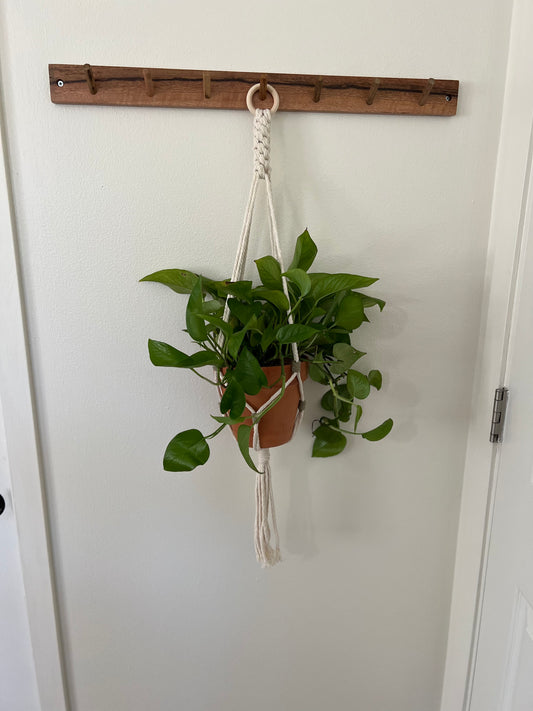 Crown Plant Hanger